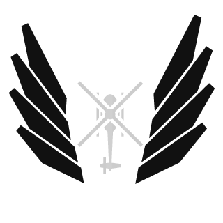 FlyingNoodle93's emblem