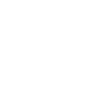 PeLMeHbTV's emblem