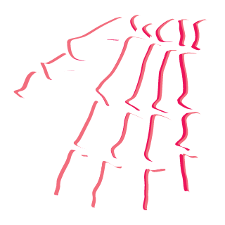 AAM_187's emblem