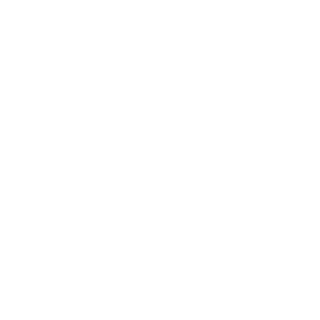Ancon1a's emblem