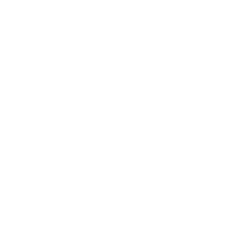 SlightShift123's emblem