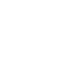 SStruck's emblem