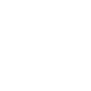 BlenKOfficial's emblem
