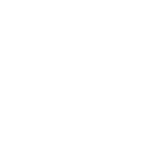 Silent_ScopeIX's emblem