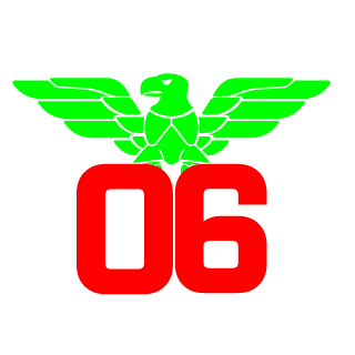 Erfan06's emblem