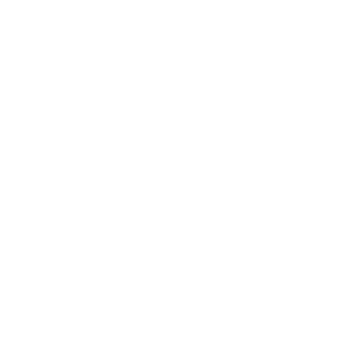 TullamoreDuke's emblem