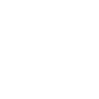 Sansibar2702's emblem