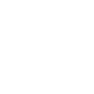 newbirdcanfly's emblem