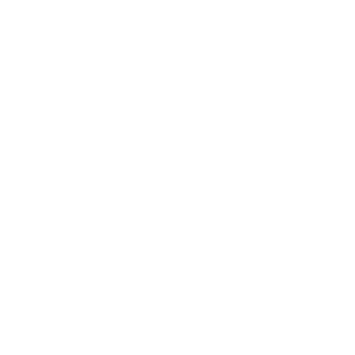 FieryThunderbo's emblem