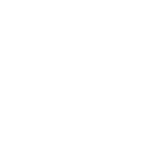 Tbagr99's emblem