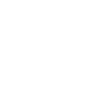 Programen_1337's emblem