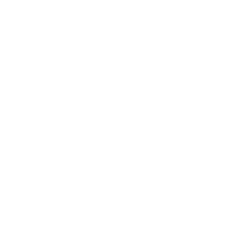 SnowComplexity's emblem