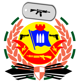 LuanFerreiraSK8's emblem