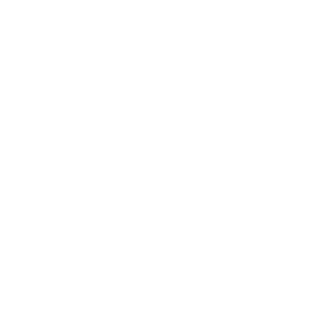 13Maccabaeus13's emblem