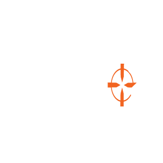11TheFox11's emblem