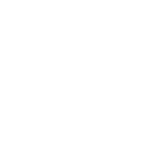 oOiFlyOo's emblem