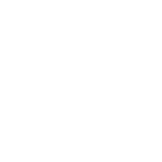 -NOR-Invest's emblem