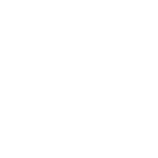 Fipspilot's emblem