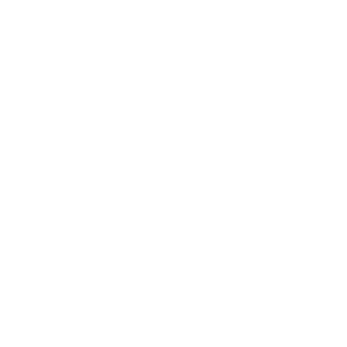 Dome_Niclas's emblem