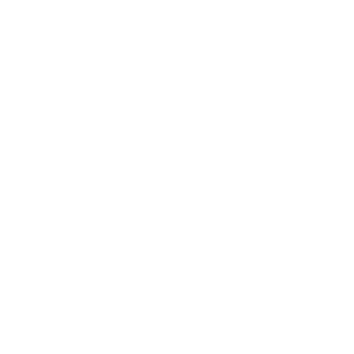 darkfiregugaBR's emblem