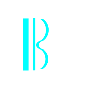 B8hoevn's emblem