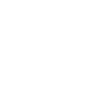 LuisFox-SV's emblem