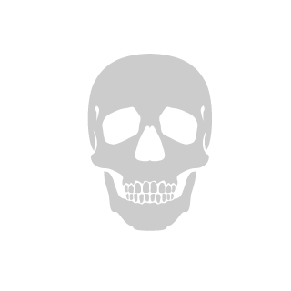 HugoBozBR's emblem