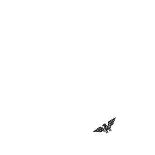 T0uMm's emblem