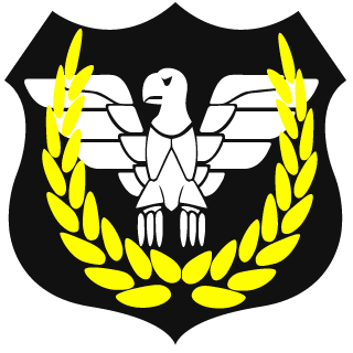 LoonyP11's emblem