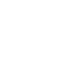 Dgon55rus's emblem