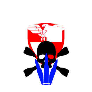 GhostAlpha236's emblem
