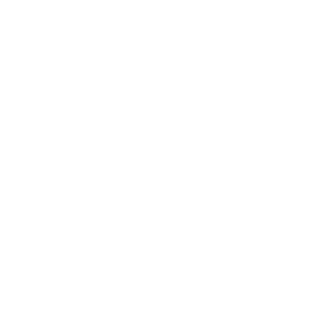 3399Lioneel's emblem
