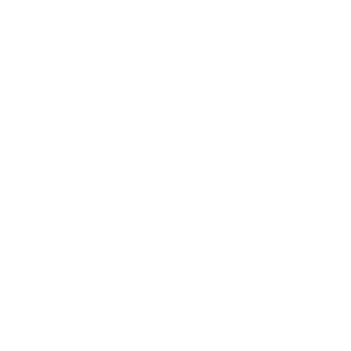 VeXuS v FeLTzY's emblem
