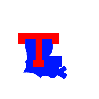 iRaidenTyler's emblem