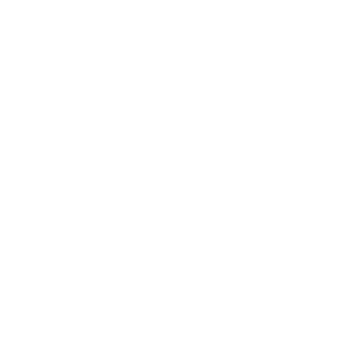 AidenRainQ's emblem