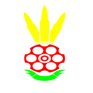 akikouner92mx's emblem