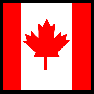 ACDIVI13's emblem