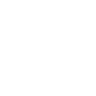 evalidus's emblem