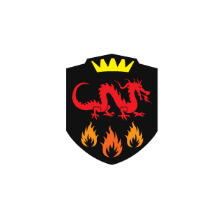 N01ziK's emblem