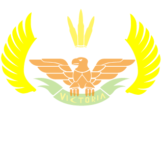 MythicalMicky's emblem