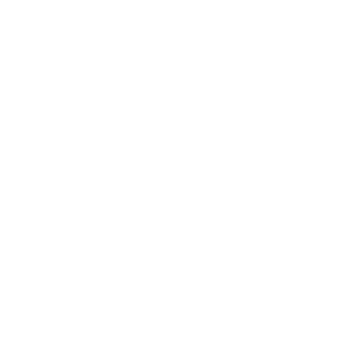 coreits1337's emblem
