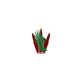 shocker03p4's emblem
