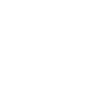 Pmvtech's emblem