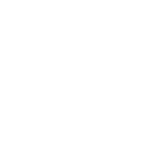 J450N_V's emblem