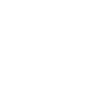 bvbvdvb's emblem