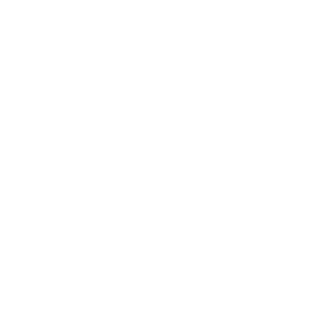 Skuz42X's emblem