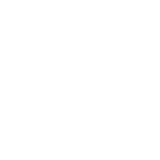 SiNN3R_IND's emblem