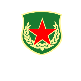 VFighter_50RUS_'s emblem