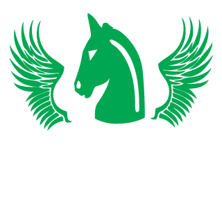 17173a's emblem