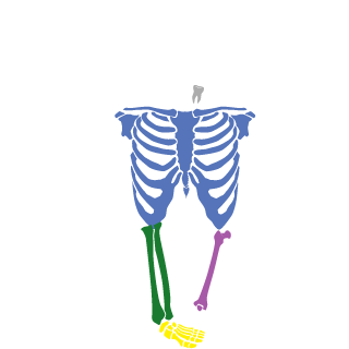 fmonteiro56's emblem